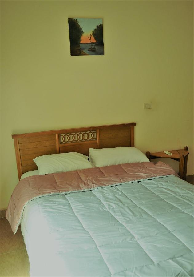 Rino Residential Apartment Kairó Kültér fotó